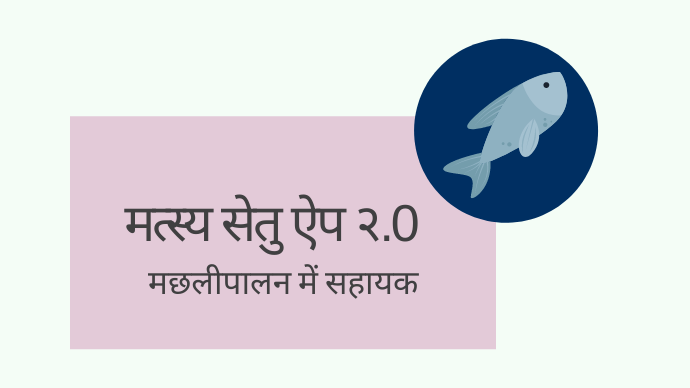 Matsya Setu App 2.0 Helpful in Fish Farming