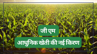 GM is the hope of Modern Agriculture